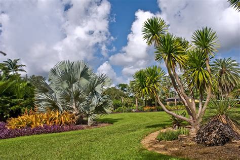 Fairchild Tropical Botanic Garden - Miami | Cestujlevne.com