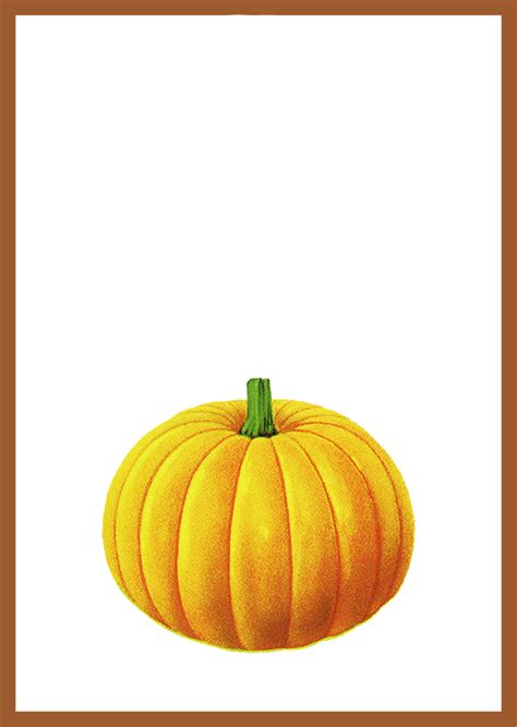 Pumpkin border png, Pumpkin border png Transparent FREE for download on WebStockReview 2024