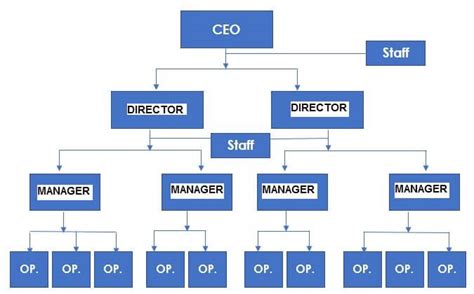 5 Organizational Structure Examples | Which to use?