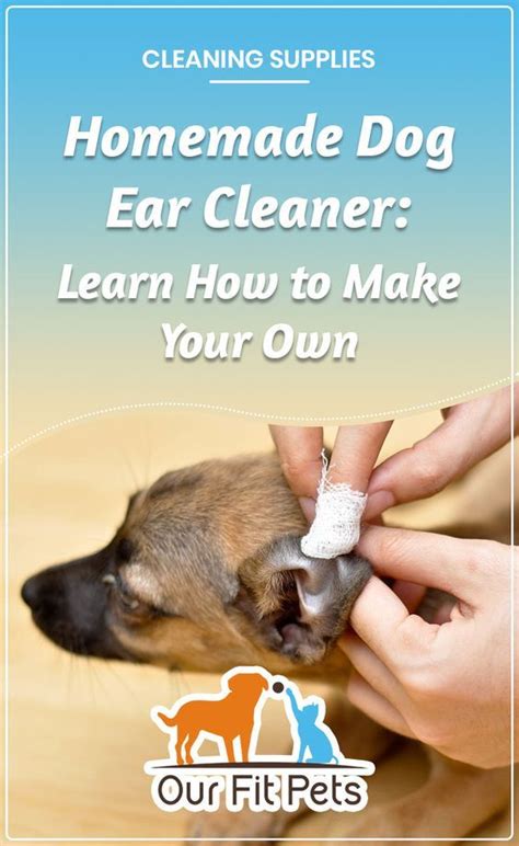 Homemade Dog Ear Cleaner: Learn How to Make Your Own | Our Fit Pets | Dog ear cleaner, Dog ear ...