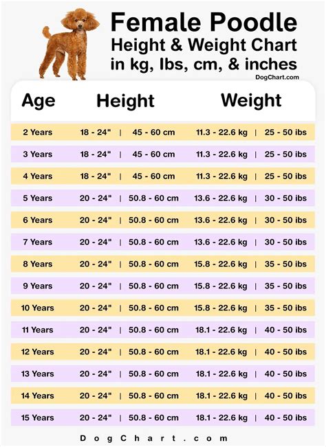 Poodle Height & Weight Chart by Age in kg, lbs, cm, inches