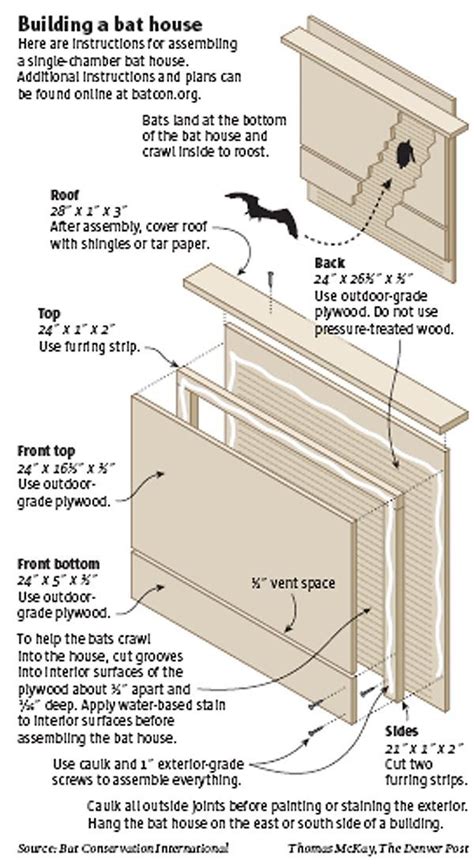 the instructions for building a bat house