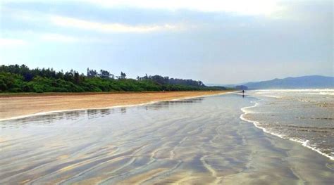 Diveagar Beach in Maharashtra | Diveagar Konkan Tourism Guide