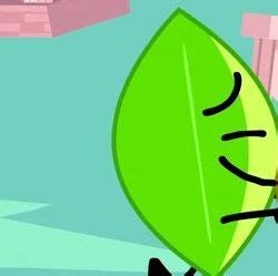 BFDI - BFB - matching Firey and leafy pfp icon | Silly images, South park funny, Profile picture