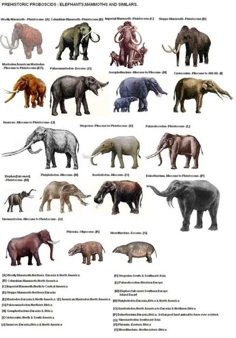 extinct mammals | Animales extinguidos, Prehistórico, Animales prehistóricos