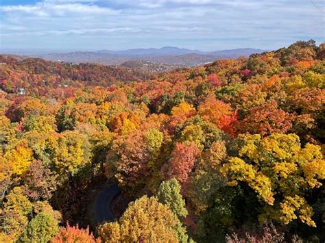 BEARSKIN LODGE ON THE RIVER HOTEL - Updated 2022 Prices & Reviews (Gatlinburg, TN)