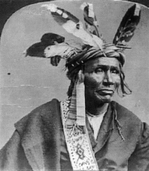 Anishinaabe (Ojibwe) Nation - 1880 | Native american images, Indigenous ...