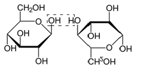 Beta Glucose Structure