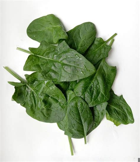 Spinach Nutrition Facts - Pioneerthinking.com