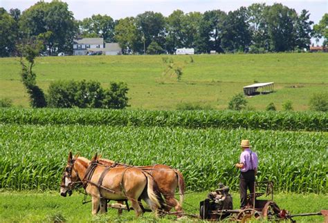 1 Day Tour of Amish Country, Pennsylvania - Road Unraveled