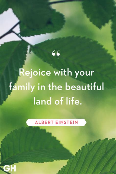 85 Best Family Quotes - Cute Sayings About Families
