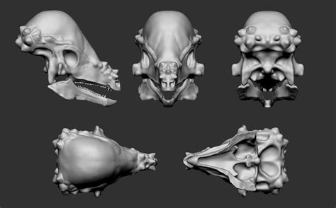 Raul Ramos Paleo Illustration: Pachycephalosaurus Skeleton