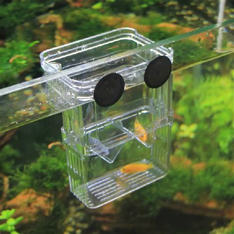 Size L High Clear Fish Breeding Box Aquarium Breeder Box Double Guppies ...