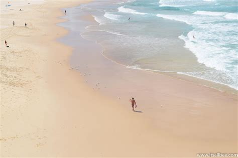 Bondi Coogee Walk | Exploring Sydney's Bondi Beach and Beyond ...