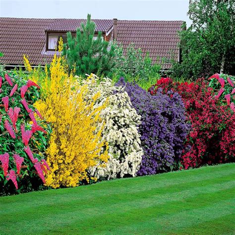 How to use landscaping shrubs for garden beautification? | Landscape Design