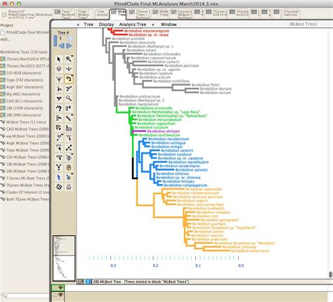 Phylogentic tree bioedit - lasemmontana