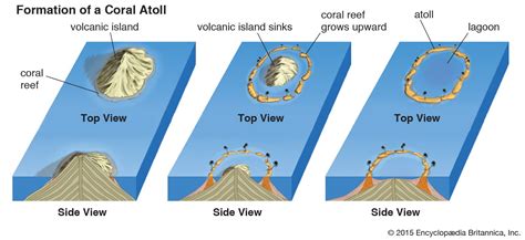 Lagoon - Coastal, Estuarine, Tidal | Britannica