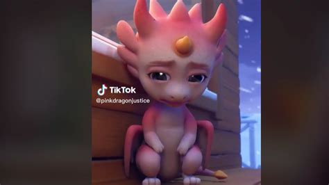 TikTok: Pink Dragon - Explained