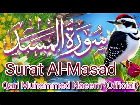 Recitation of Quran Qari Muhammad Naeem Official Para No 30 Surah 111