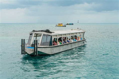 Cairns: Full-Day Glass Bottom Boat or Snorkel Tour | GetYourGuide