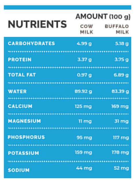 Cow Milk Vs Buffalo Milk: Which Is Healthier? - Boldsky.com