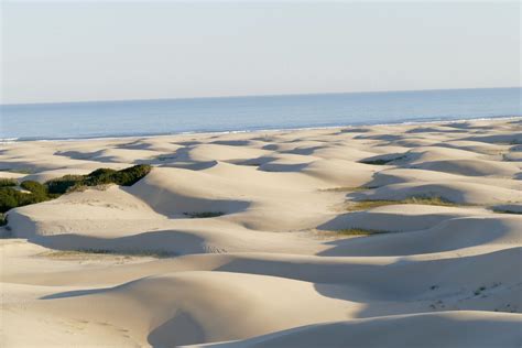 Sliding down sand dunes in South Africa - Act of Traveling