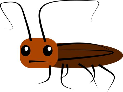 Roach - Openclipart