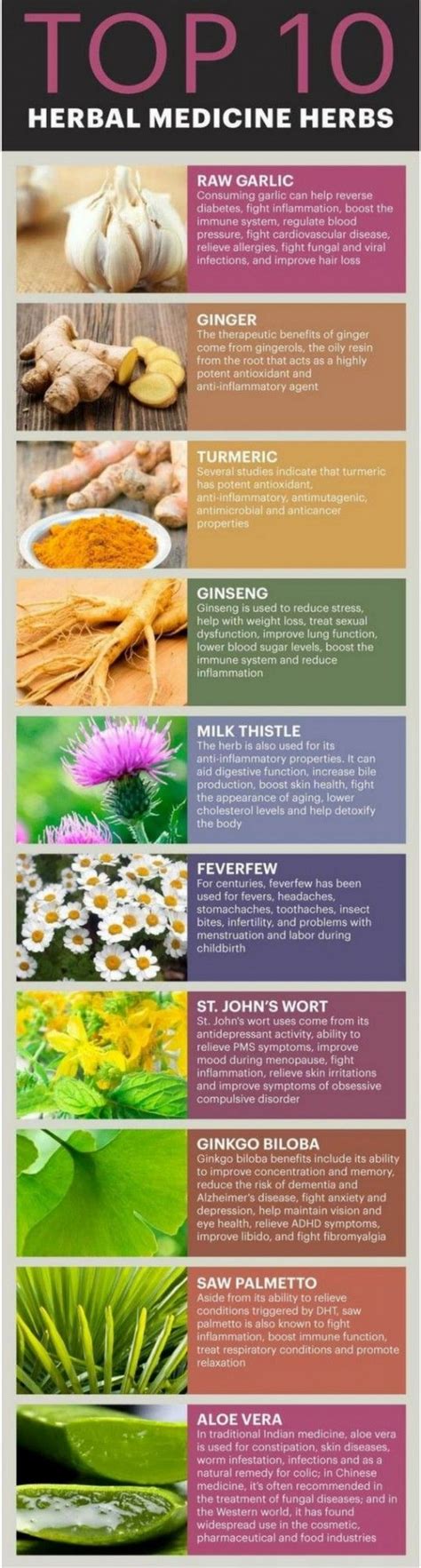 Top 10 Herbs Used in Herbal Medicine #Herbs #NaturalMedicine ...