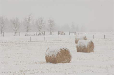 Winter On a Farm Archives - Hull O Farms