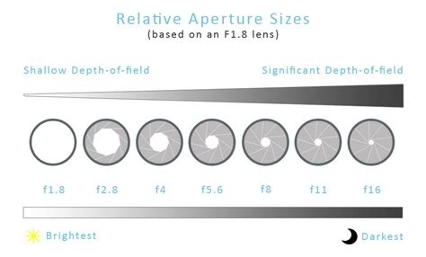 How to set your aperture in Photography. | Silent Peak Photographic