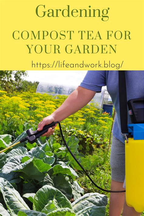 Compost Tea For Your Garden