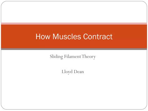 Sliding filament theory muscle contraction | PPT