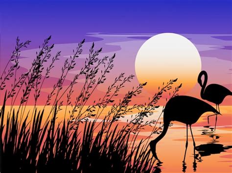 Premium Vector | Sunset scene with silhouette of flamingo and grass