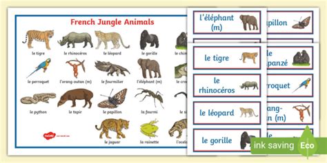 👉 French Jungle Animals Word Mat and Word Cards