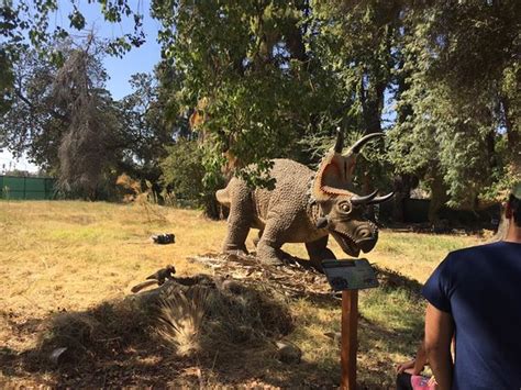 Fresno Chaffee Zoo - 2019 All You Need to Know BEFORE You Go (with ...