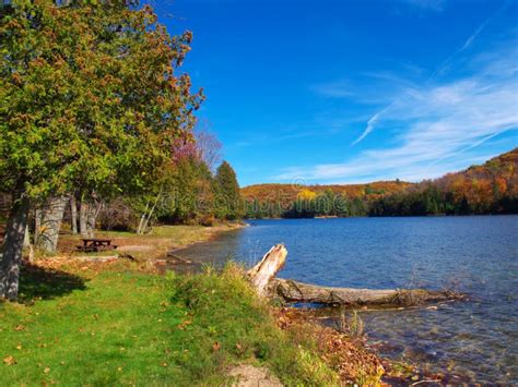 Autumn lake stock photo. Image of background, fall, green - 6516892