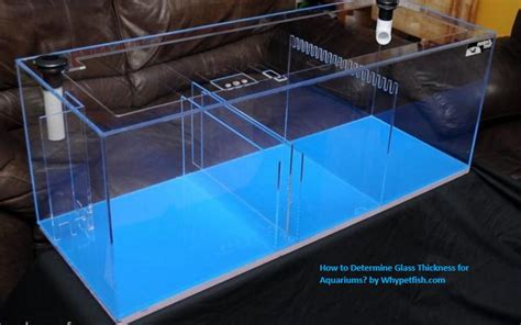 How to Determine Glass Thickness for Aquariums?