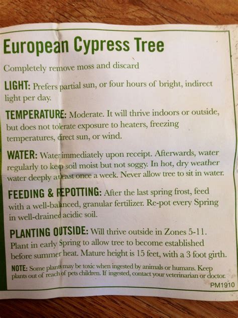 European Cypress Tree care instructions | Cypress plant, Tree care ...