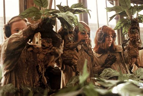 Etsy Harry Potter Mandrake Plants | Apartment Therapy