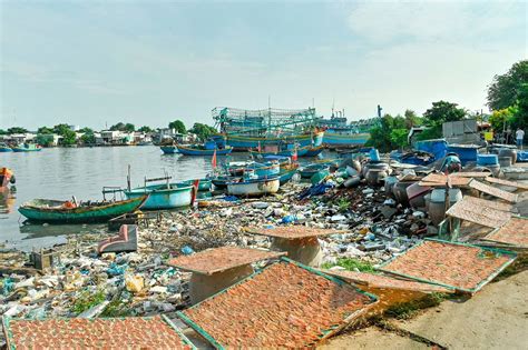 Bình Thuận: Cần chung tay bảo vệ môi trường biển