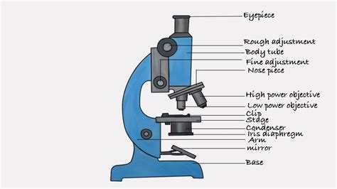 how to draw microscope | step by step microscope drawing - YouTube