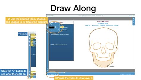 FAQ: How do I use the Drawing Pad with the Tutorials? | ditki medical & biological sciences