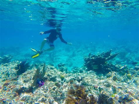 Key West Snorkeling Tours: Explore the Sea - Cabana Inn