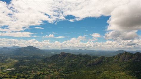 Rainforest Landscape - Stock Photos | Motion Array