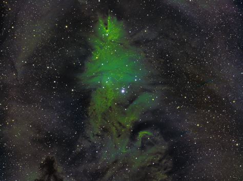 Christmas Tree Nebula small (Size: Large) - Tim's Astro Photos - Photo ...