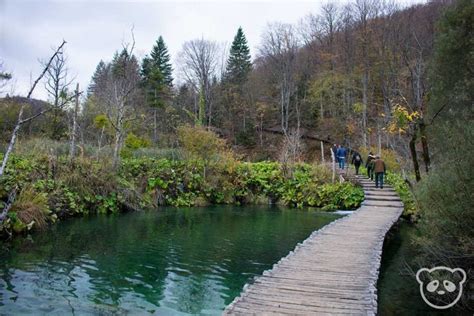 The Ultimate Hiking Guide for Plitvice Lakes National Park (with a Trail List!) | The Adventures ...