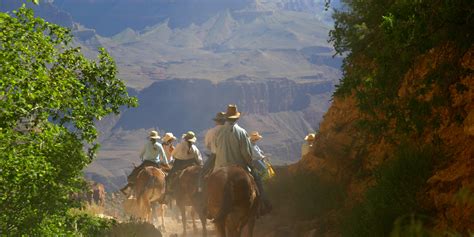 Rebel With a Cause: Training to Ride a Horse Across the Grand Canyon ...