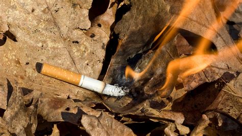 Discarded cigarette starts brush fire in Port Angeles | king5.com