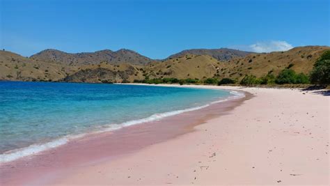 5 Aktivitas Seru di Kawasan Wisata Pulau Komodo – Clevaster