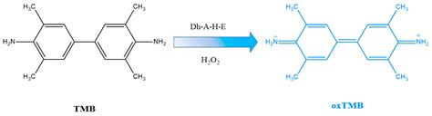 Peroxidase Reaction With Hydrogen Peroxide